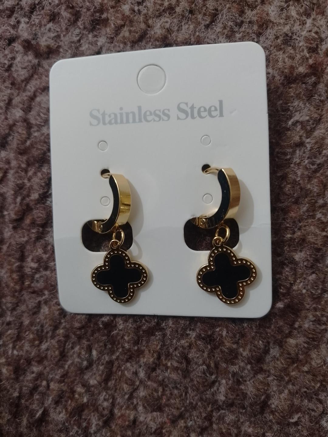 1 Pair Stainless Steel Earrings